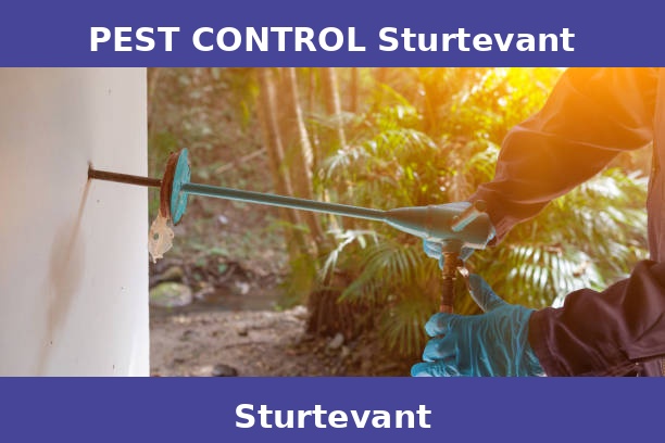 PEST CONTROL Sturtevant